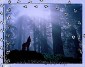 backgroundwolf.jpg